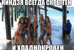 Веселые картинки