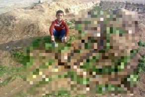 Будущий инженер