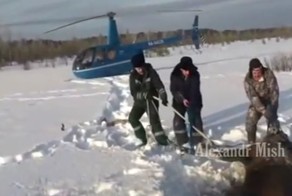 Люди спасают животных от гибели