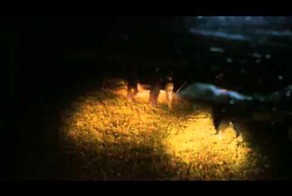 Каратели из батальона "Донбасс" Ии разное про Великую нацию