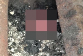 Кто в гриле живет? Кто в невысоком живет?