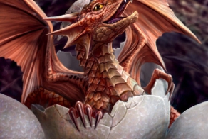 Как рождаются драконы?