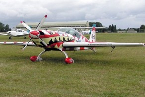 Пилотаж на Extra 300