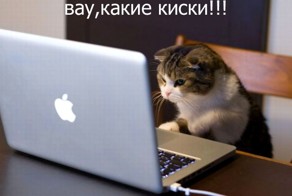 Вау,какие киски!!!