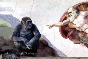 Теория Дарвина: знамя атеизма или?..