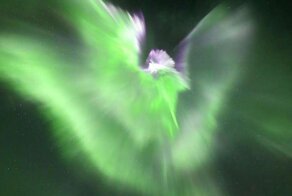 Танцующий ангел