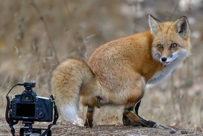 Неудачный кадр