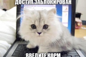 Фишкина солянка за 27.10.2014