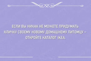 20 лучших открыток за неделю