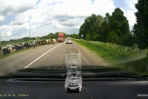 Проспал торможение