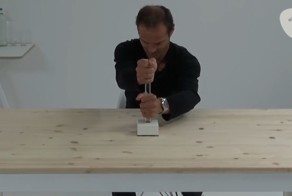 Кто умнее: человек или обезьяна?