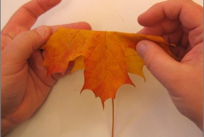 Осенняя икебана