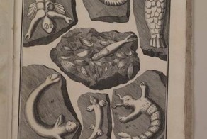 Бестселлер