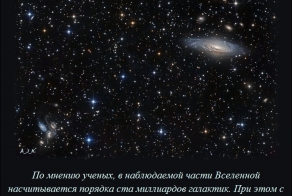 Интересные факты о разном