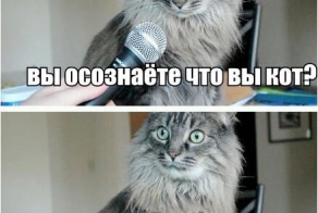 Шутки и фразы