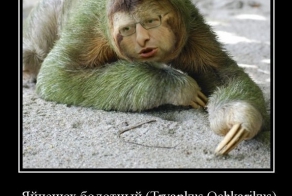 Дикая фауна Хохляндии