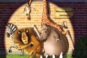Хроника побегов животных из Московского зоопарка