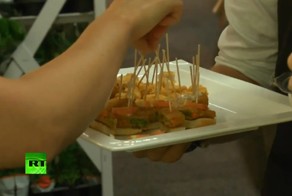 Смогут ли гурманы отличить фаст-фуд от органической пищи?