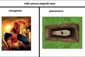 Ожидания и реальность