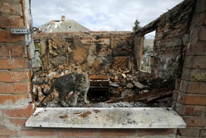 Донецкие ополченцы исключили любой политический союз с Украиной