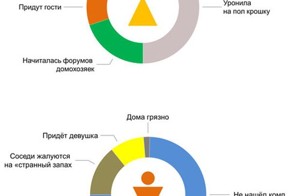 Разница между полами в забавной инфографике