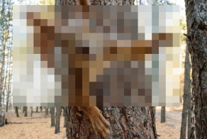 Решила отжать