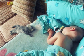 Дети и их 4-лапые друзья