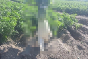  Я выросла, я ухожу