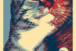 КОТЕ РУЛИТ?