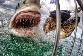 Как скучно я живу!