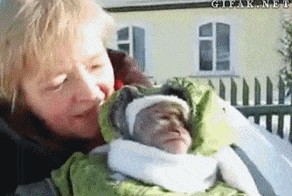 Обезьяна на выгуле