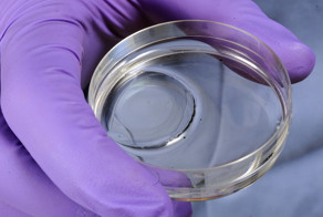 Создан новый особо прочный гидрогель