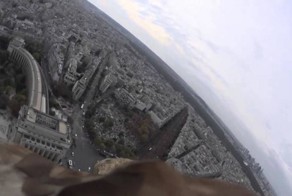 Лучшие видео, «снятые» животными с помощью экшн-камеры