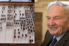 9 коллекций, которые вас удивят