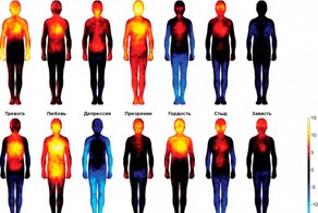 Карта тела: какими своими частями человек чувствует счастье и стыд