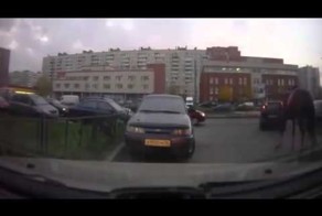 Занесло коня