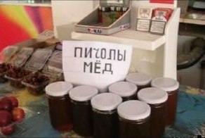 Приколы