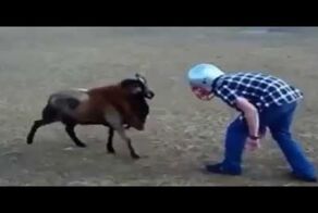 Козел против БАРАНА