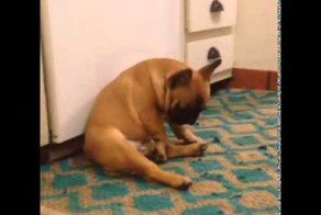 Мужики такие мужики...