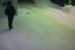 Мужик показал коту дорогу