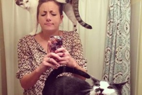 Котэ ни причём