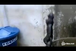Подборка роликов от 31.01.2013