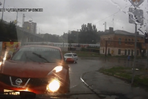 Дама на встречке в Ростове