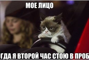 Подборка автоприколов. Часть 173