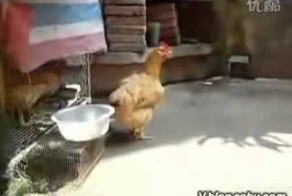 А им все равно кого