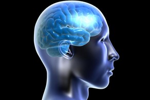 Интересные факты о Дежа вю