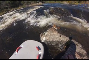 Спортсмен-экстремал спас белку из бушующей реки