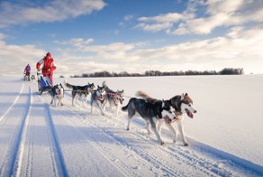 Четыре самых необычных зимних видов спорта