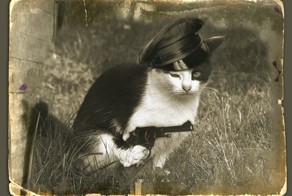 Мурка из мура 