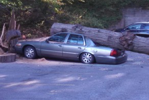 Везение на парковке у дома